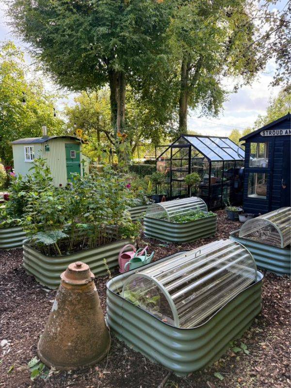 Vanessa Price Kitchen Garden Blog 1